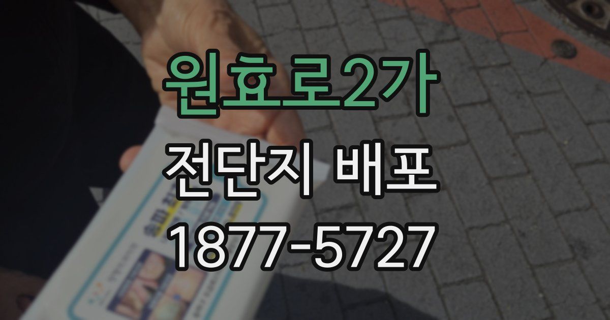원효로2가 전단지 배포