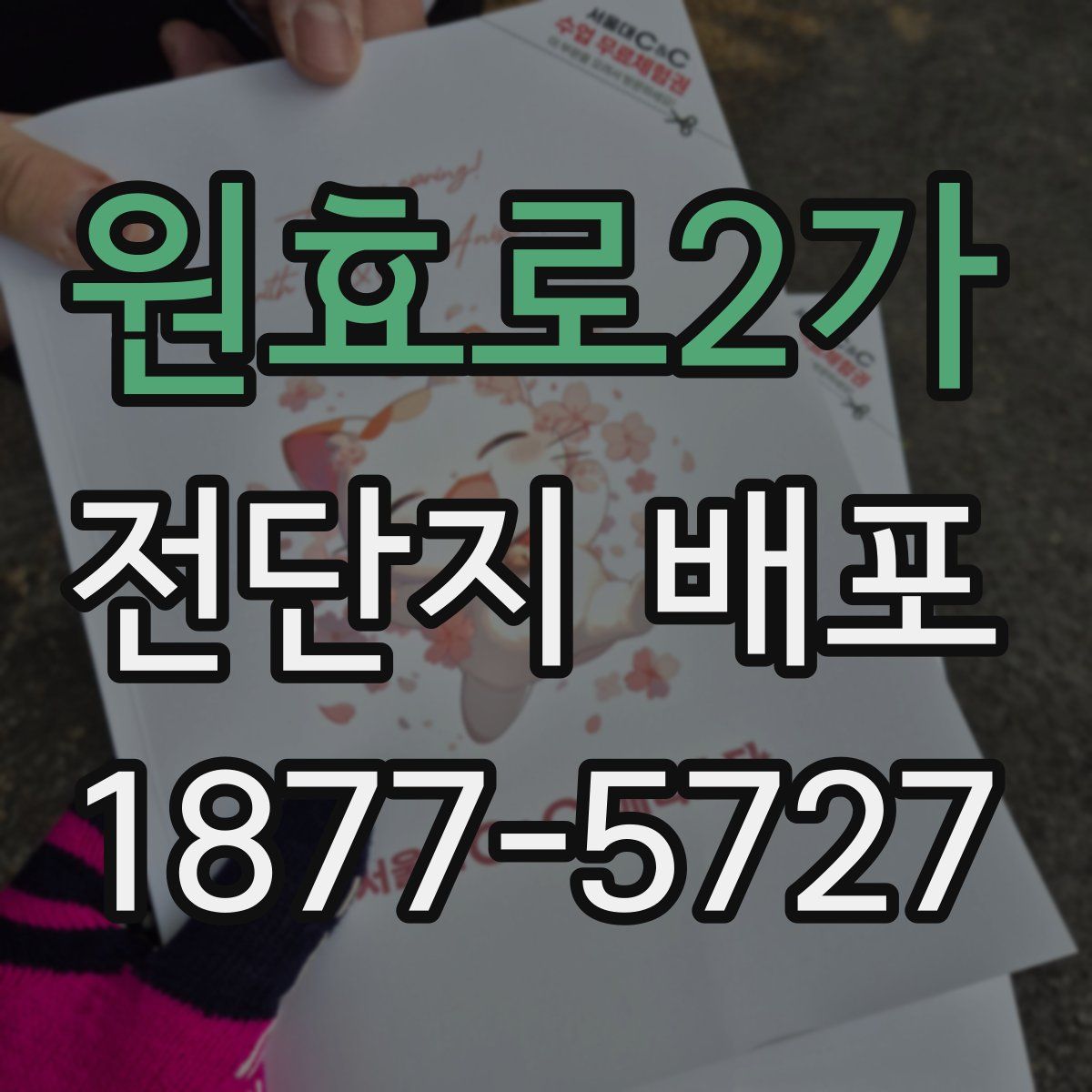 원효로2가 전단지 배포