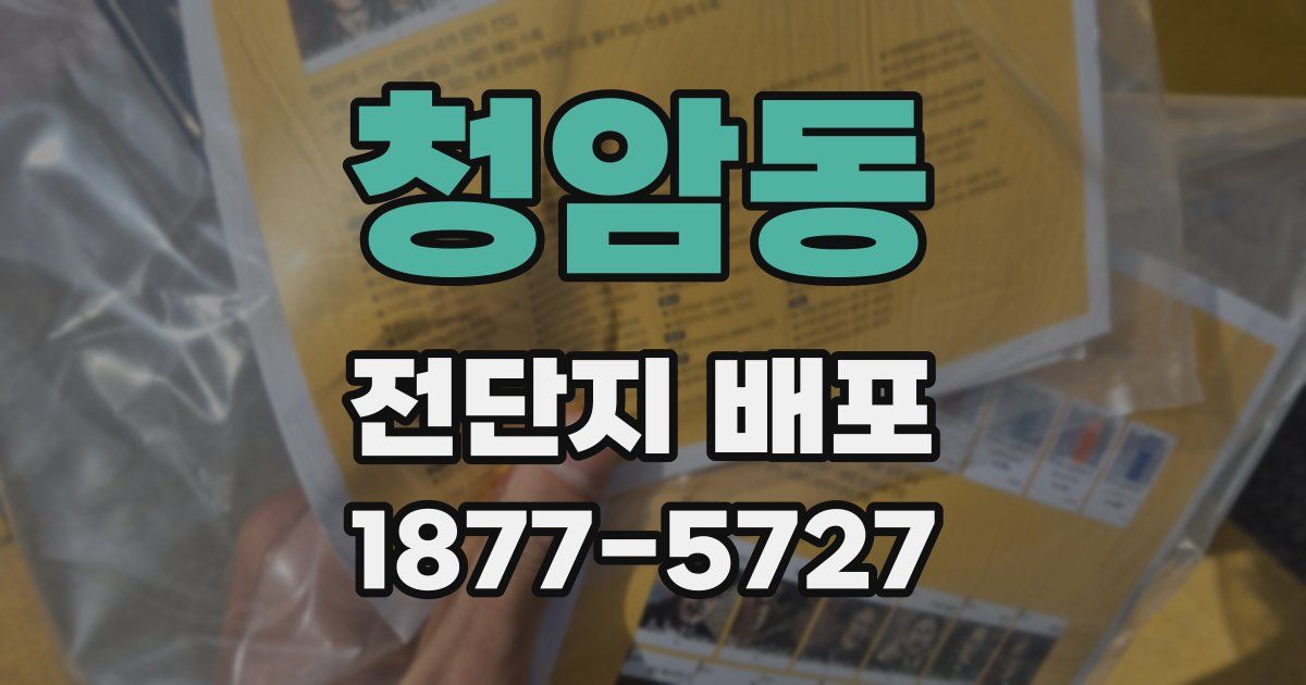 청암동 전단지 배포