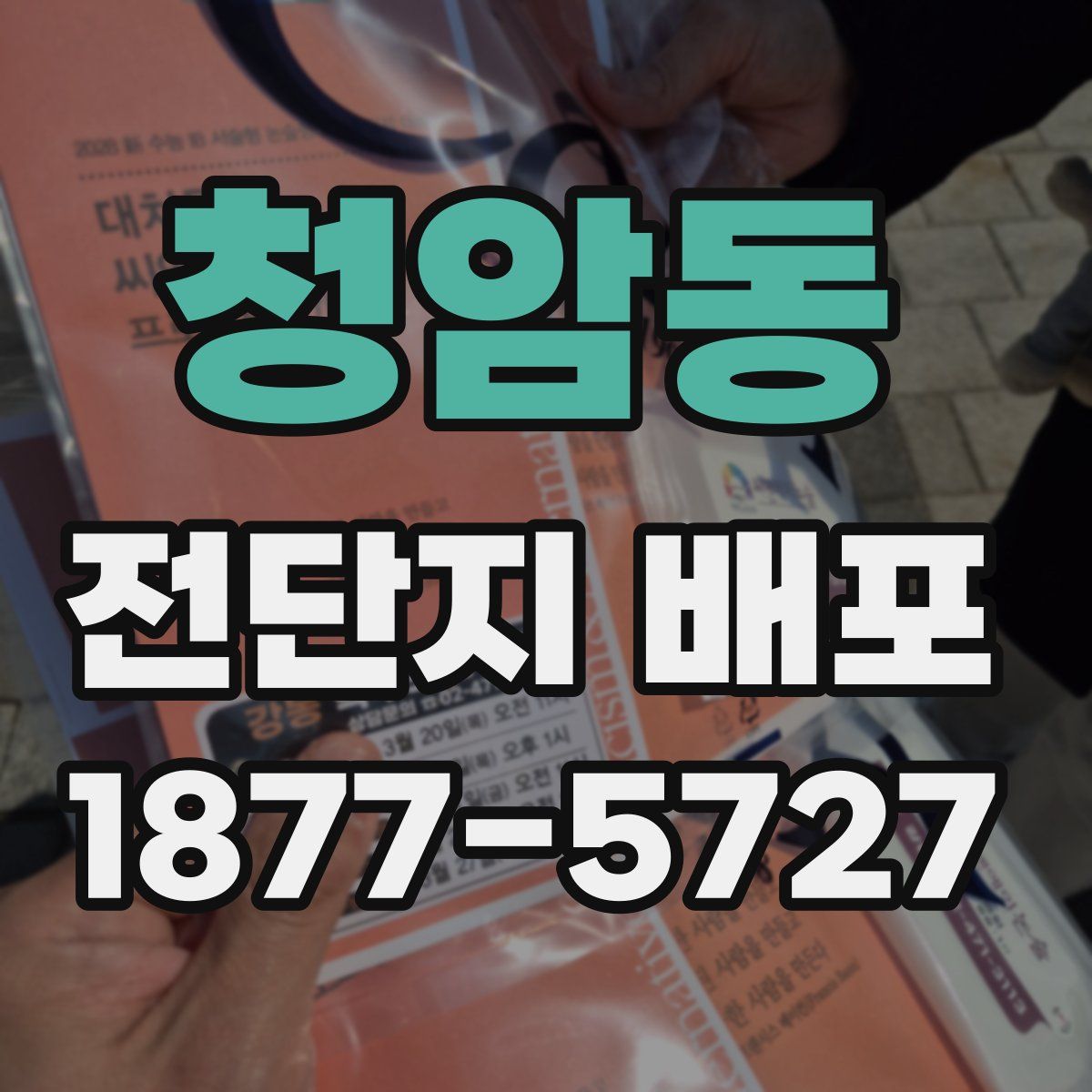 청암동 전단지 배포