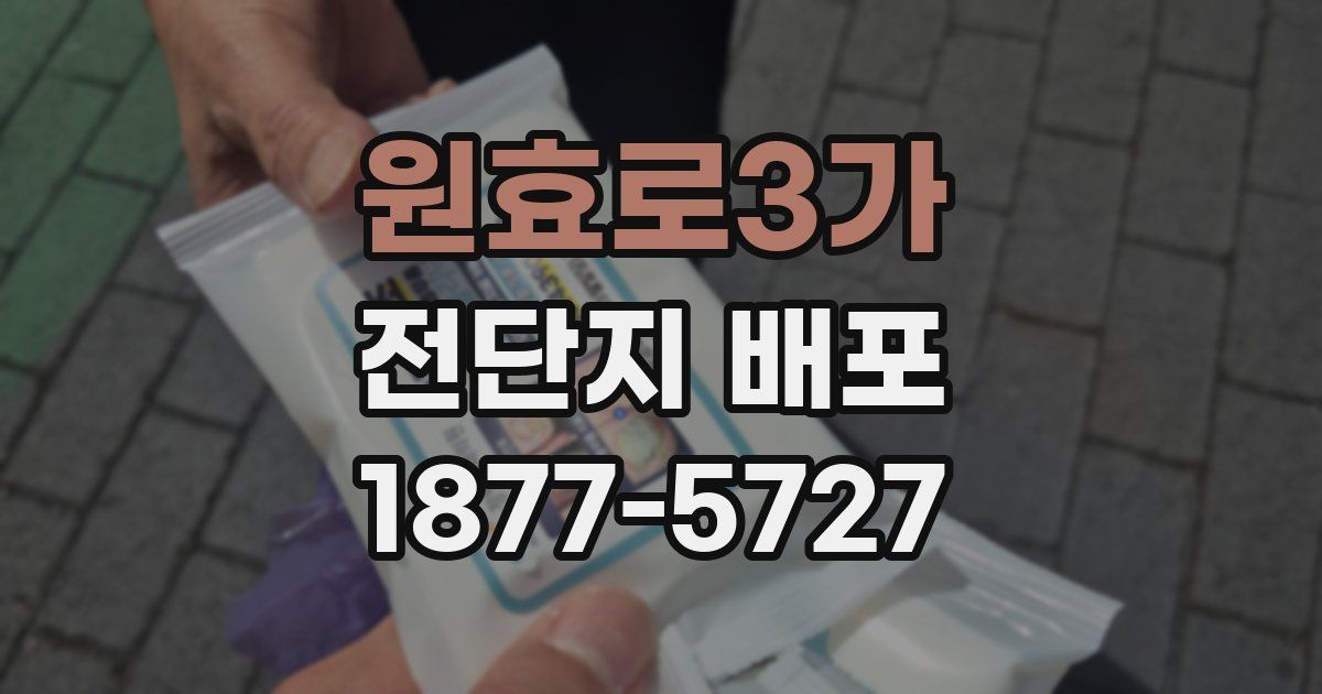 원효로3가 전단지 배포