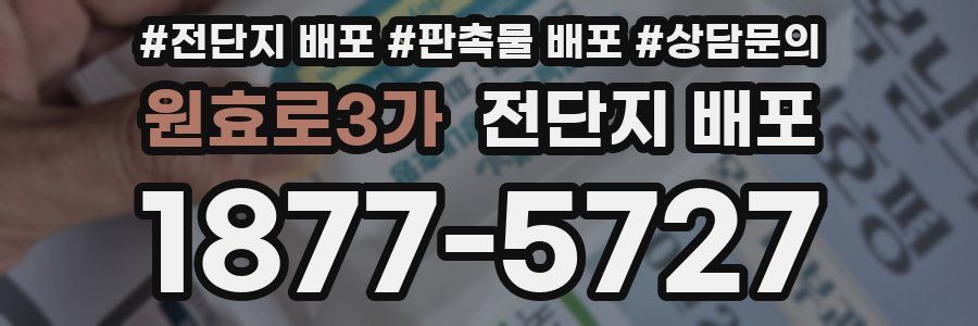 원효로3가 전단지 배포