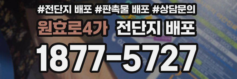 원효로4가 전단지 배포