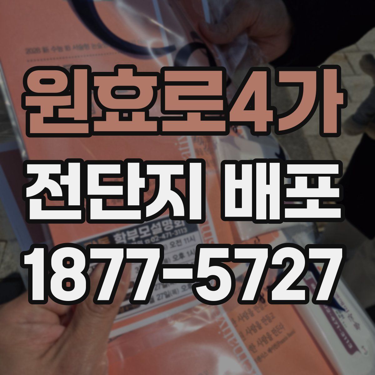 원효로4가 전단지 배포