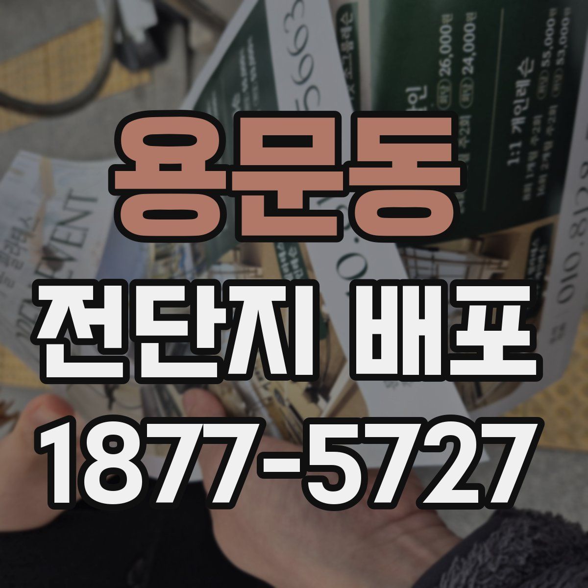 용문동 전단지 배포