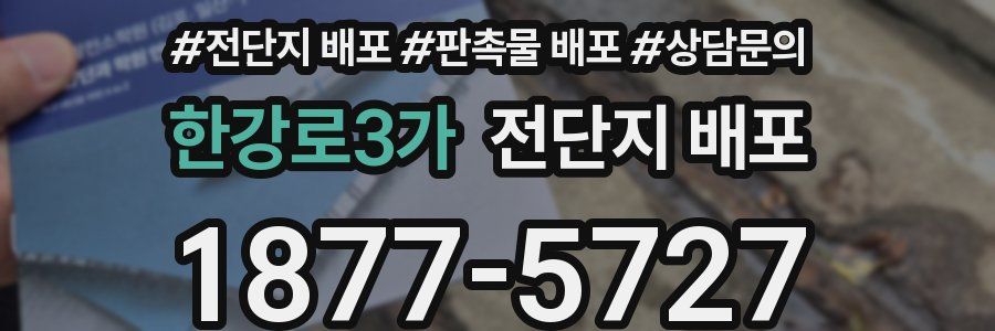 한강로3가 전단지 배포
