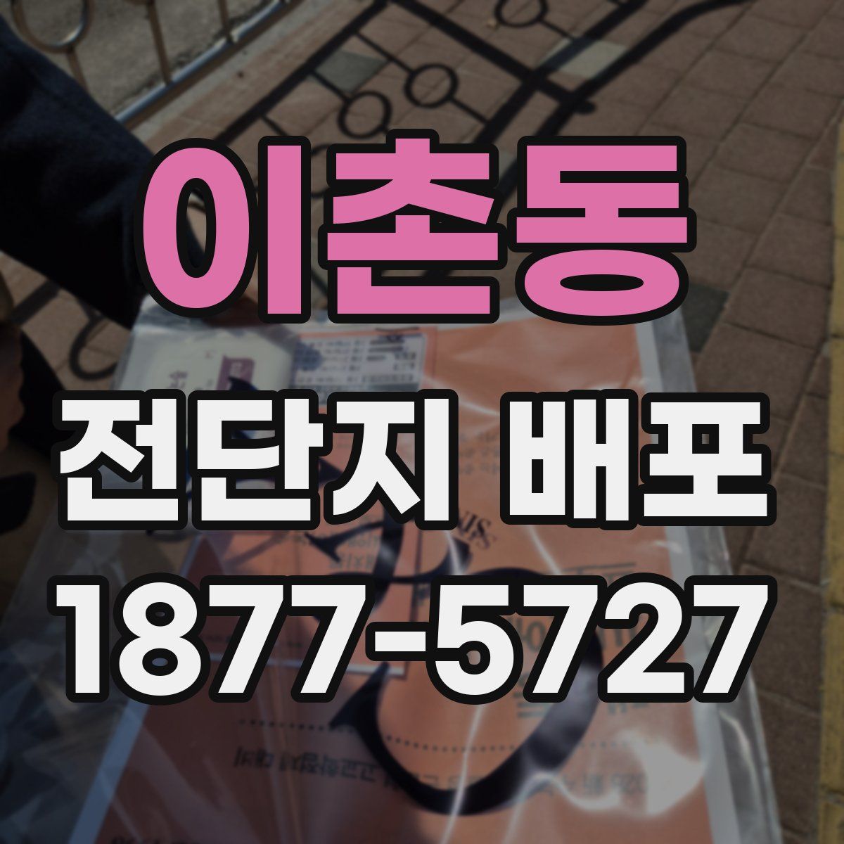 이촌동 전단지 배포