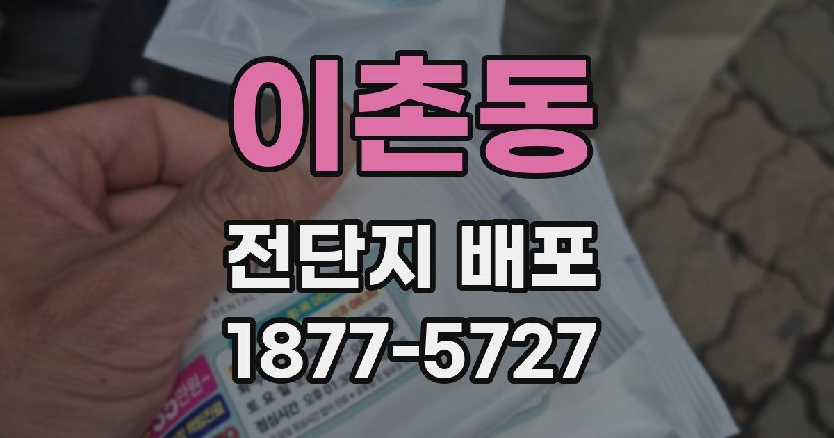 이촌동 전단지 배포