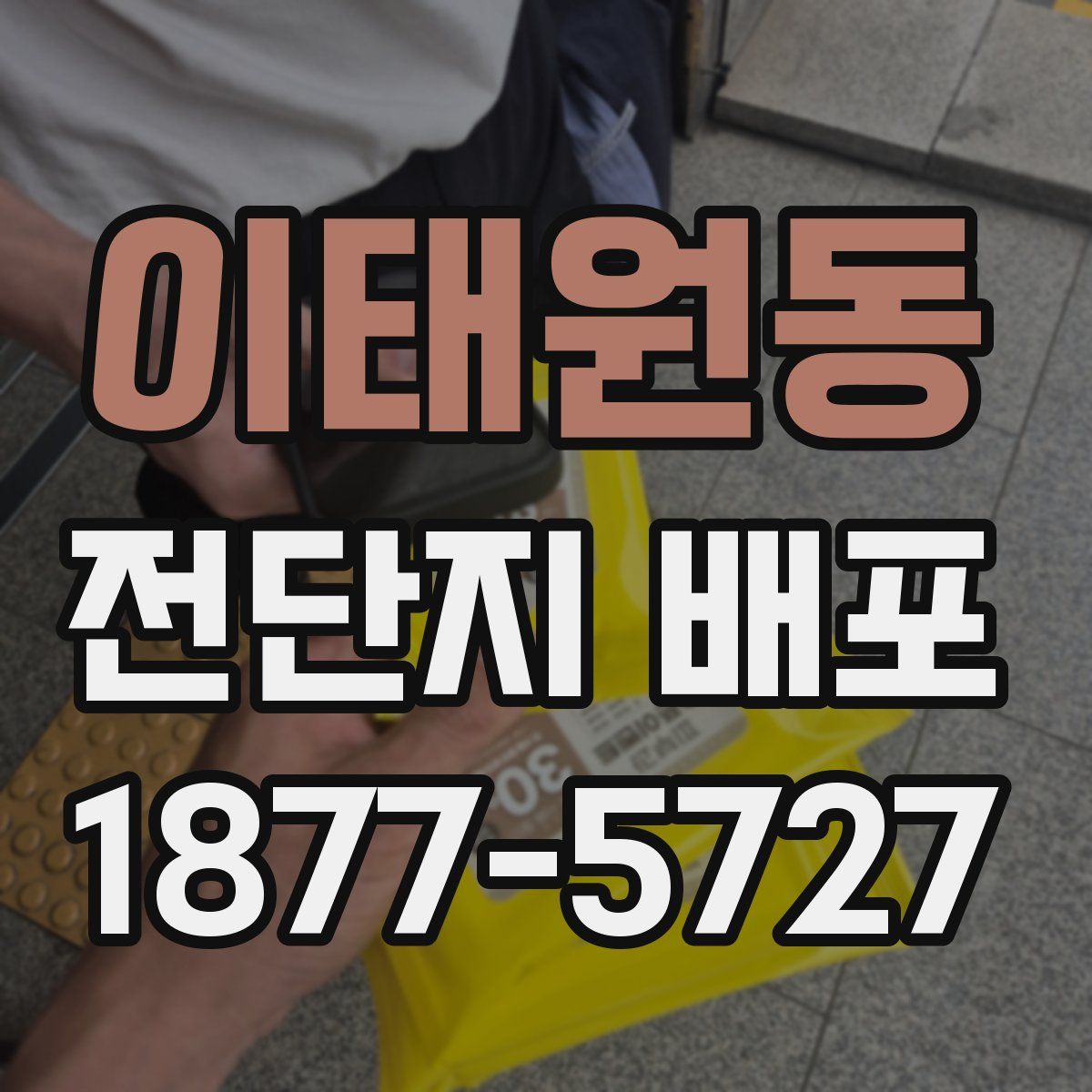 이태원동 전단지 배포