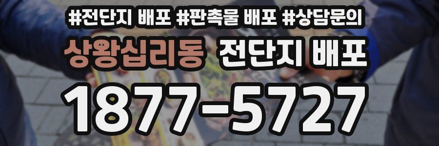 상왕십리동 전단지 배포