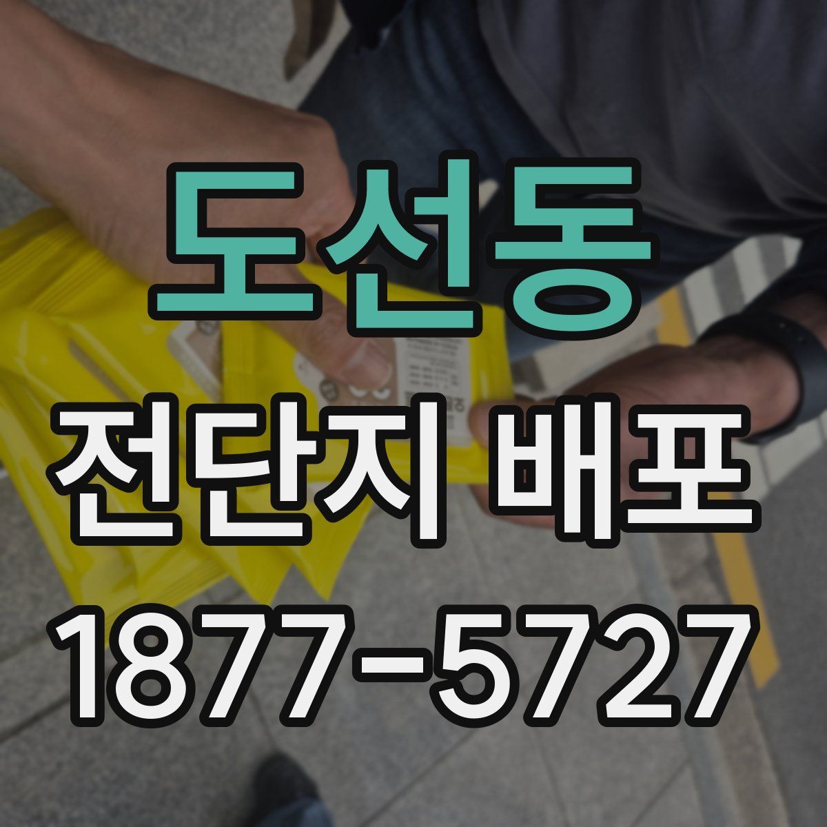도선동 전단지 배포