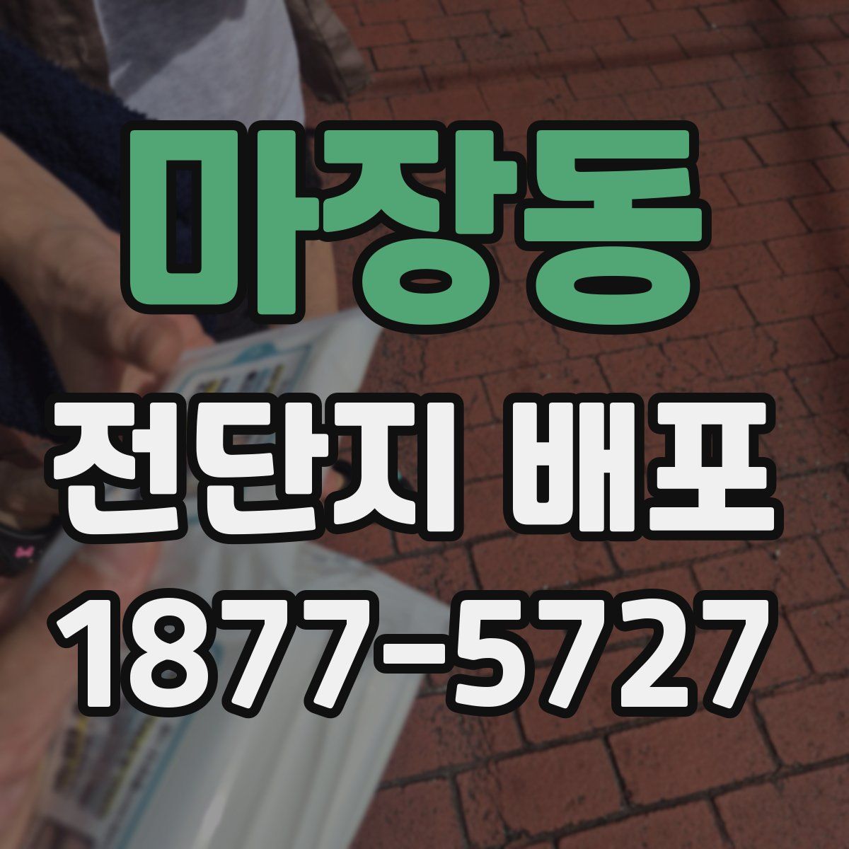 마장동 전단지 배포