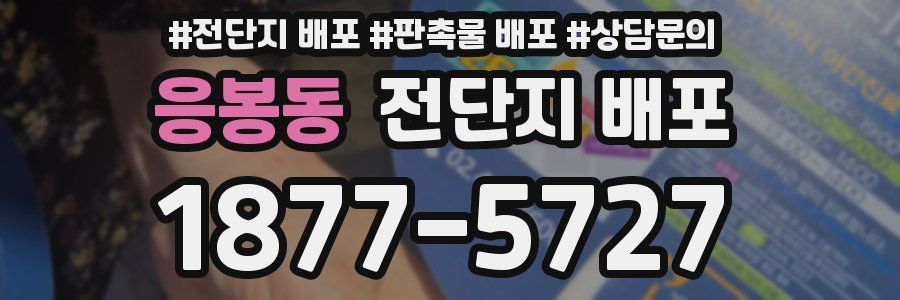 응봉동 전단지 배포