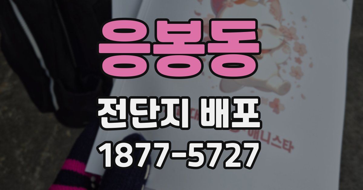 응봉동 전단지 배포