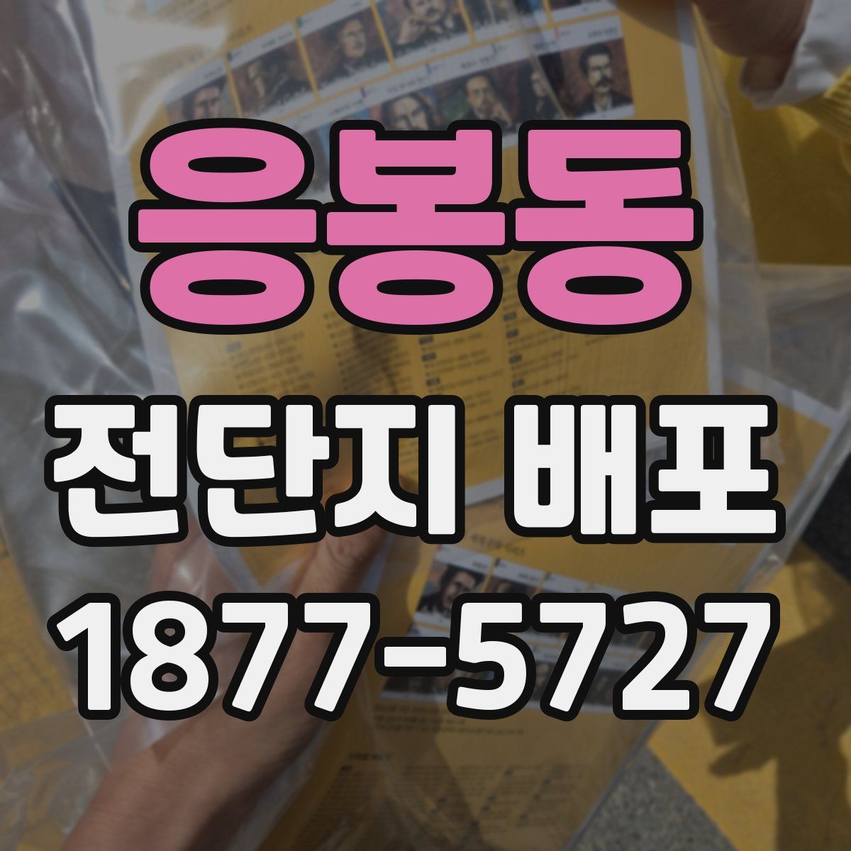 응봉동 전단지 배포