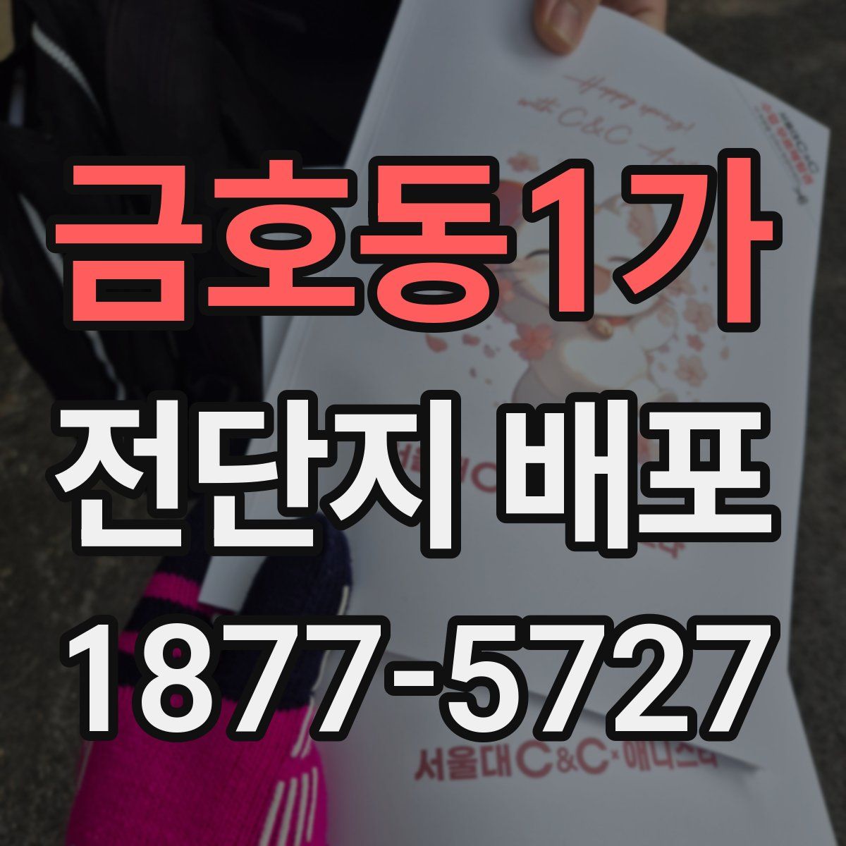 금호동1가 전단지 배포