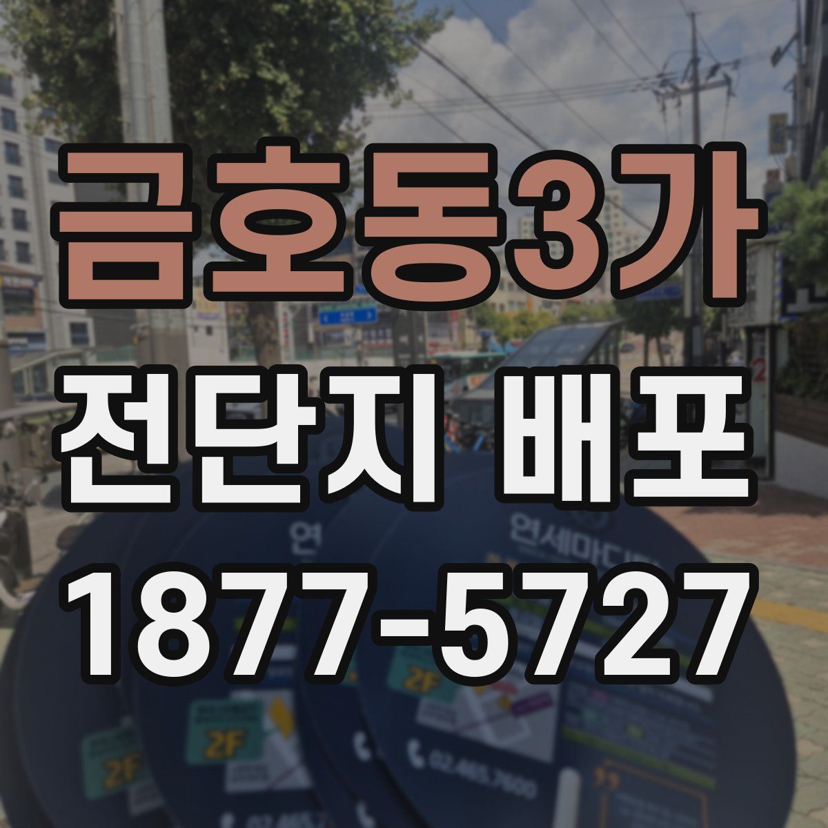 금호동3가 전단지 배포
