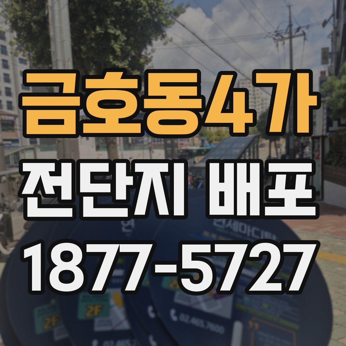 금호동4가 전단지 배포