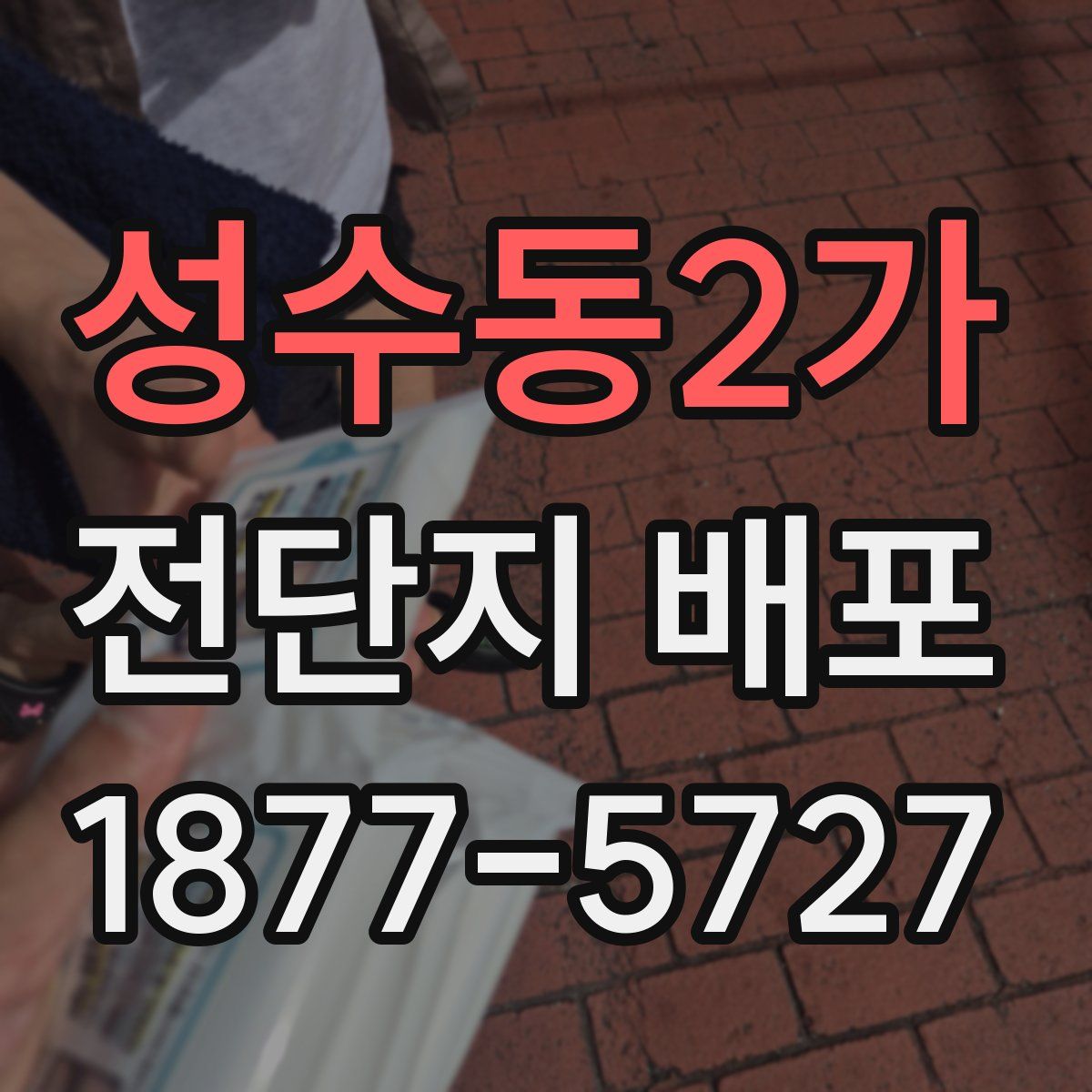 성수동2가 전단지 배포
