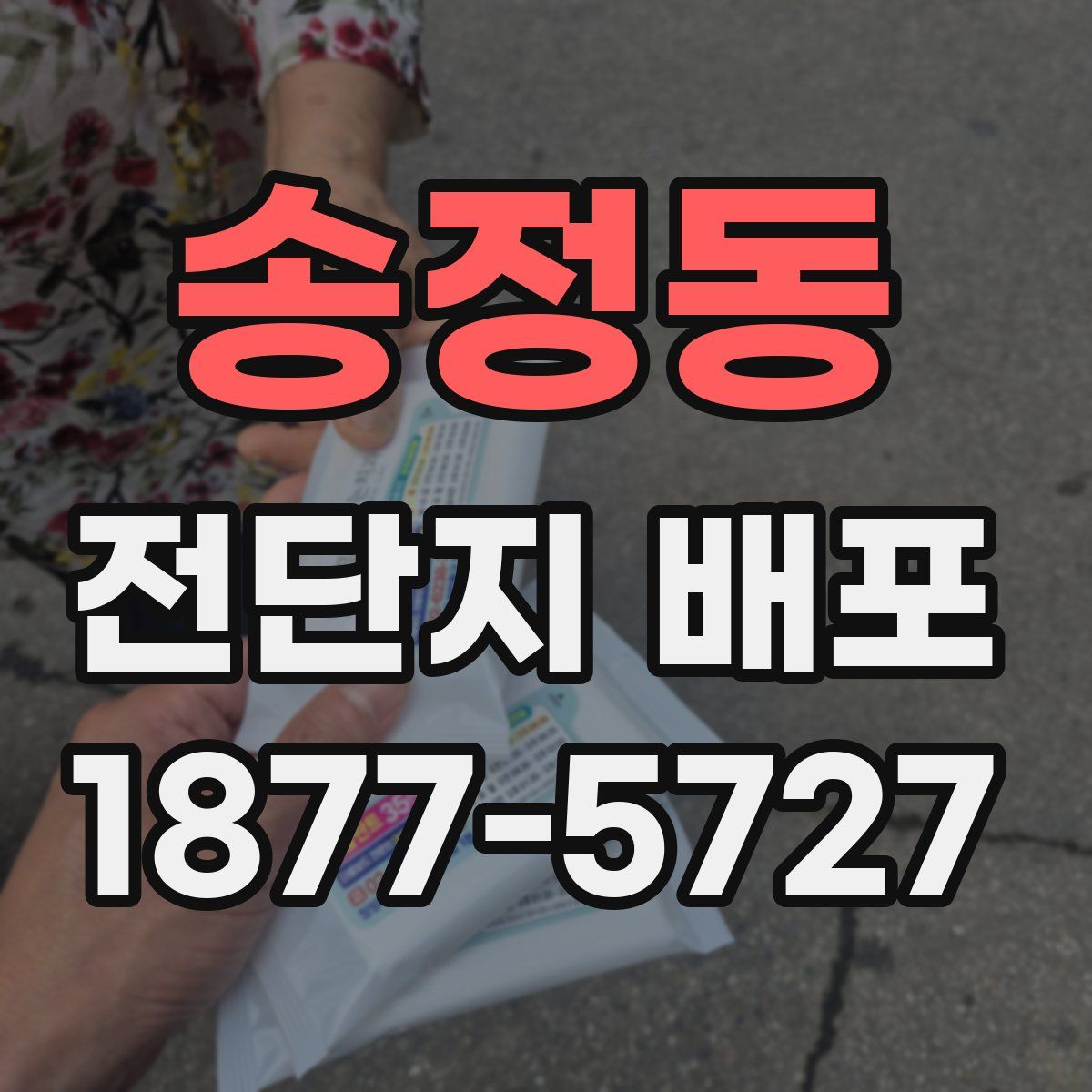 송정동 전단지 배포