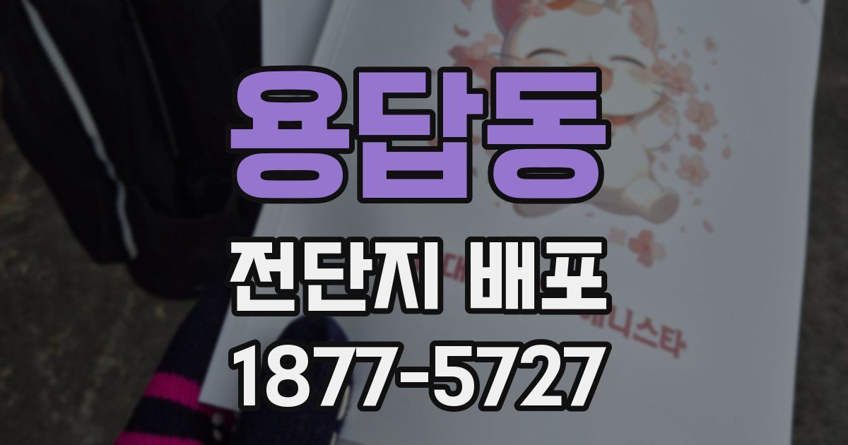 용답동 전단지 배포