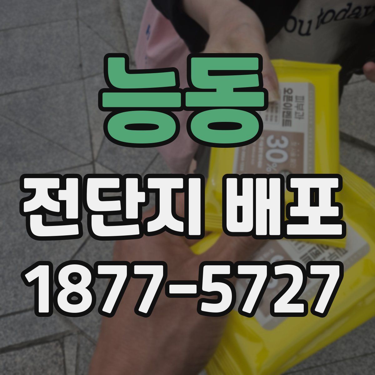 능동 전단지 배포