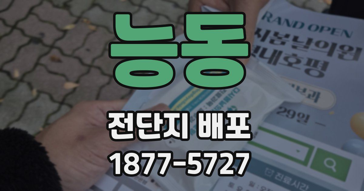 능동 전단지 배포