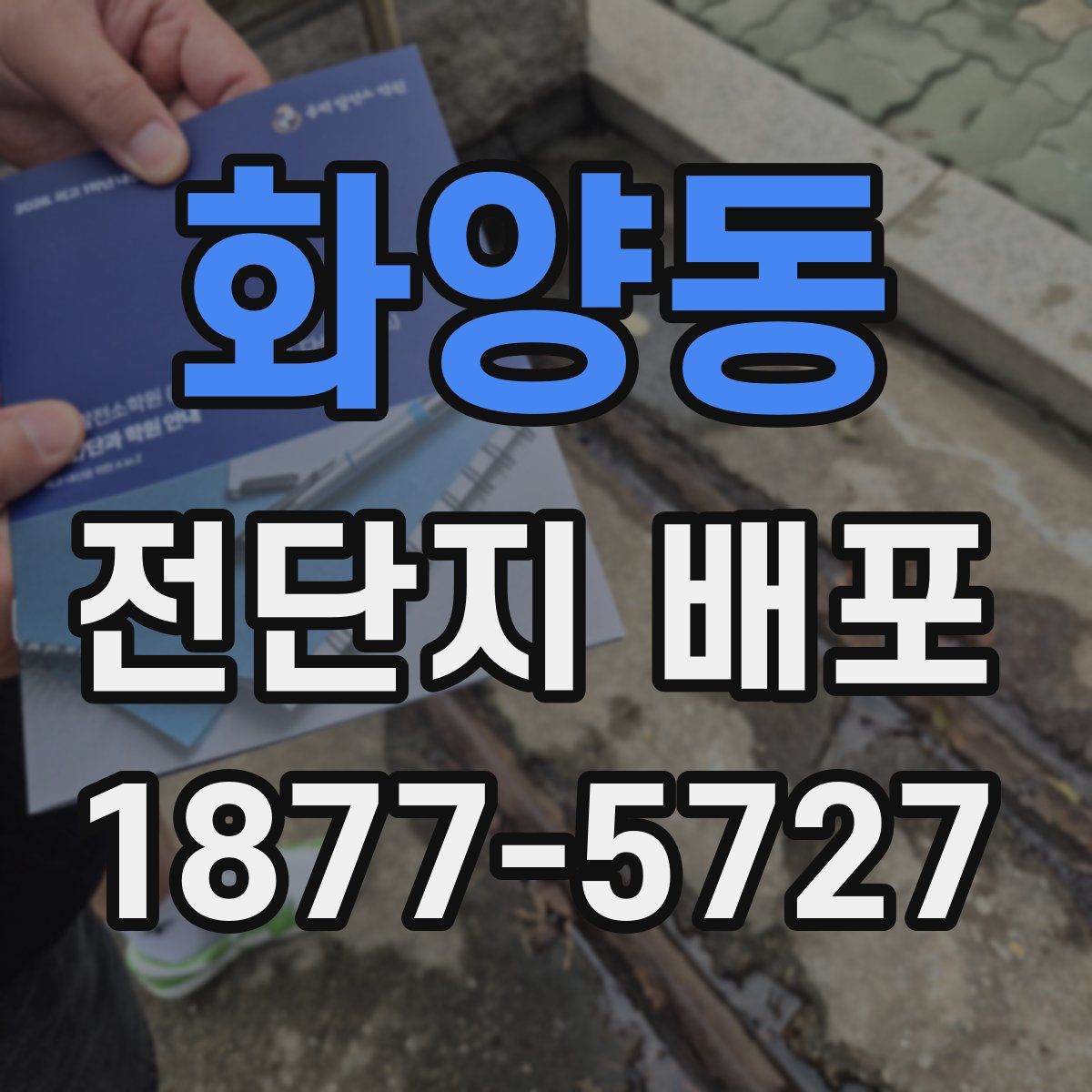 화양동 전단지 배포