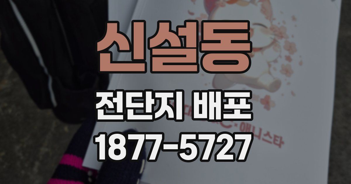 신설동 전단지 배포
