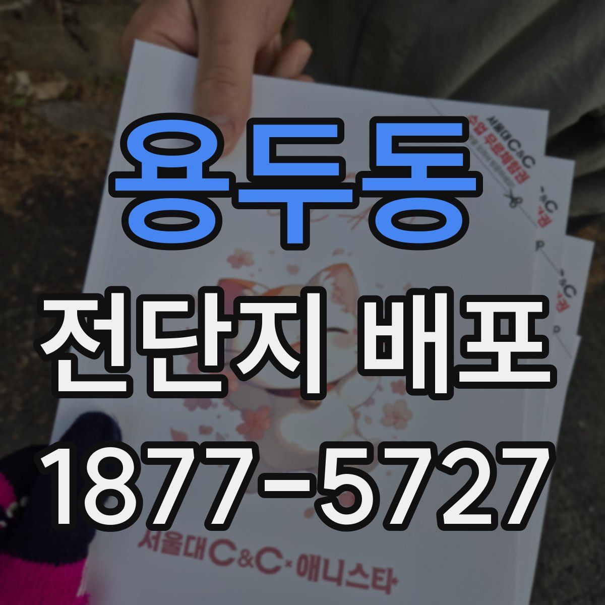 용두동 전단지 배포