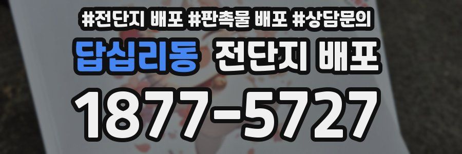 답십리동 전단지 배포