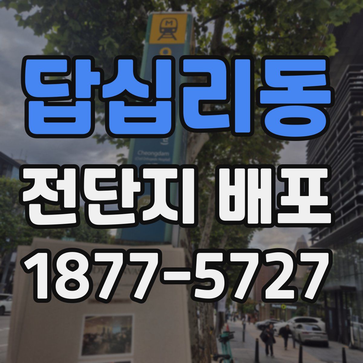 답십리동 전단지 배포