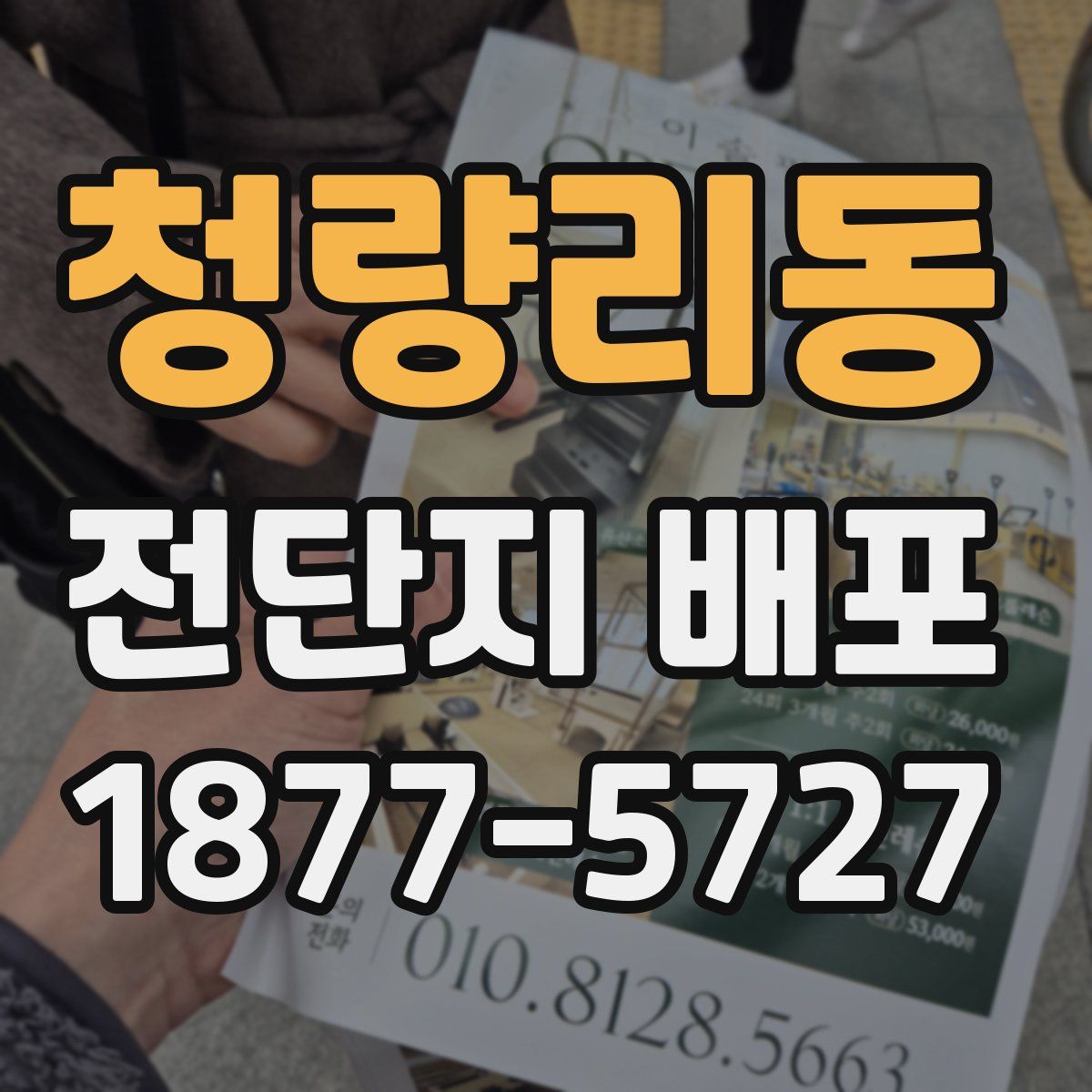 청량리동 전단지 배포
