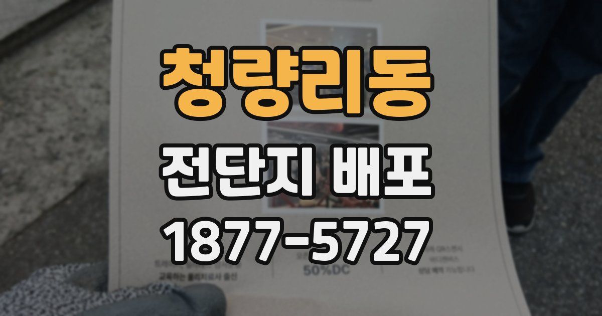 청량리동 전단지 배포