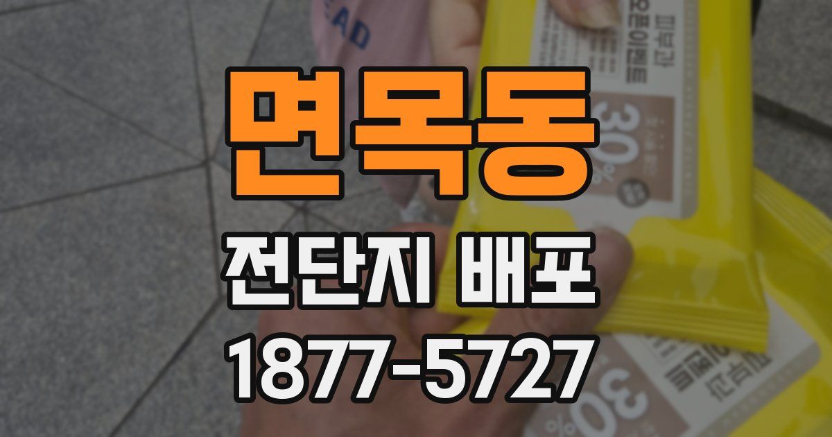 면목동 전단지 배포