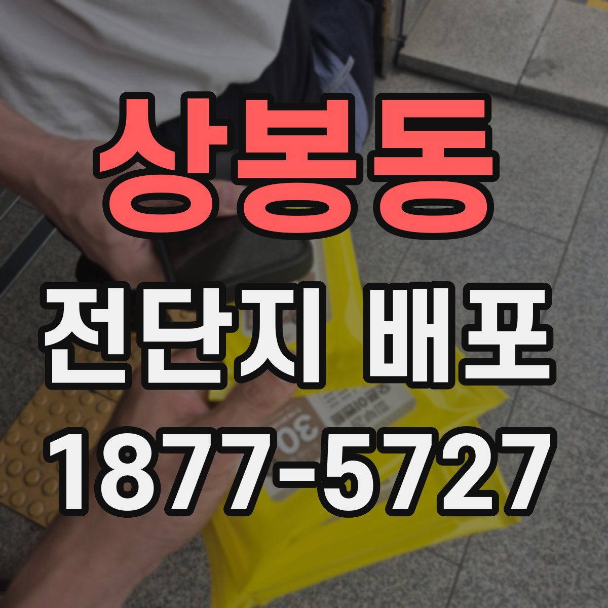 상봉동 전단지 배포