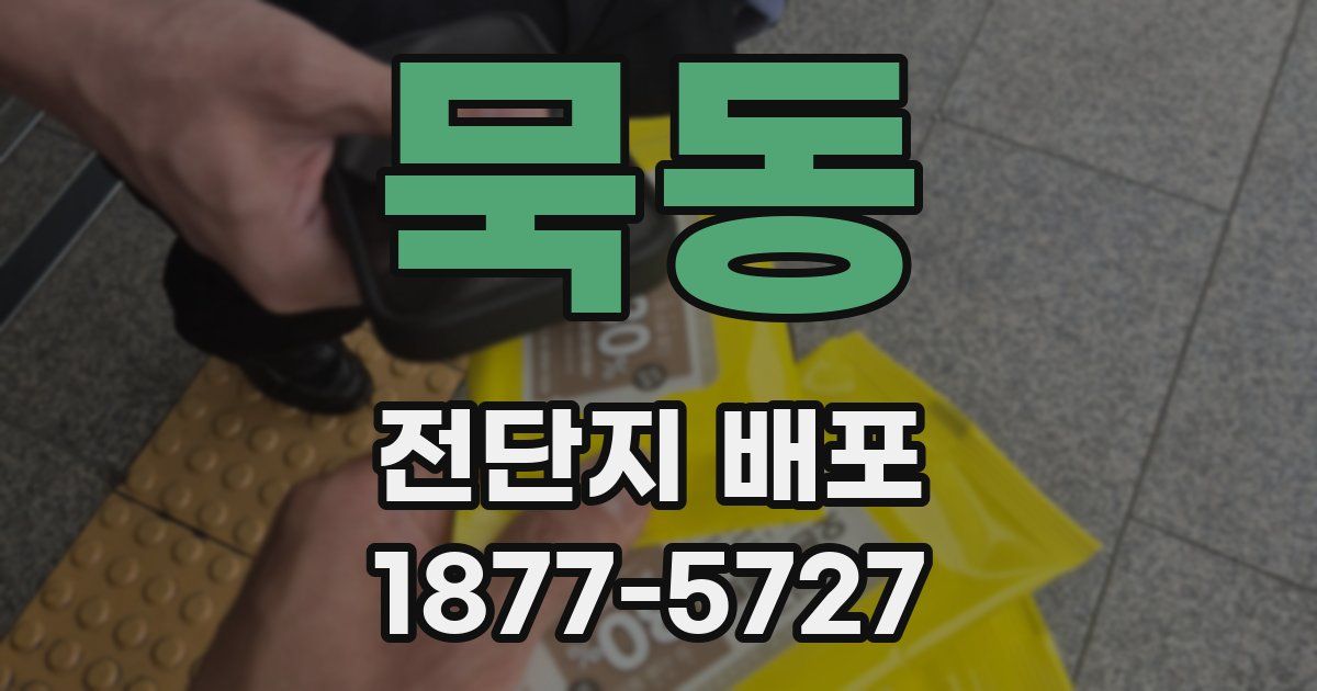 묵동 전단지 배포
