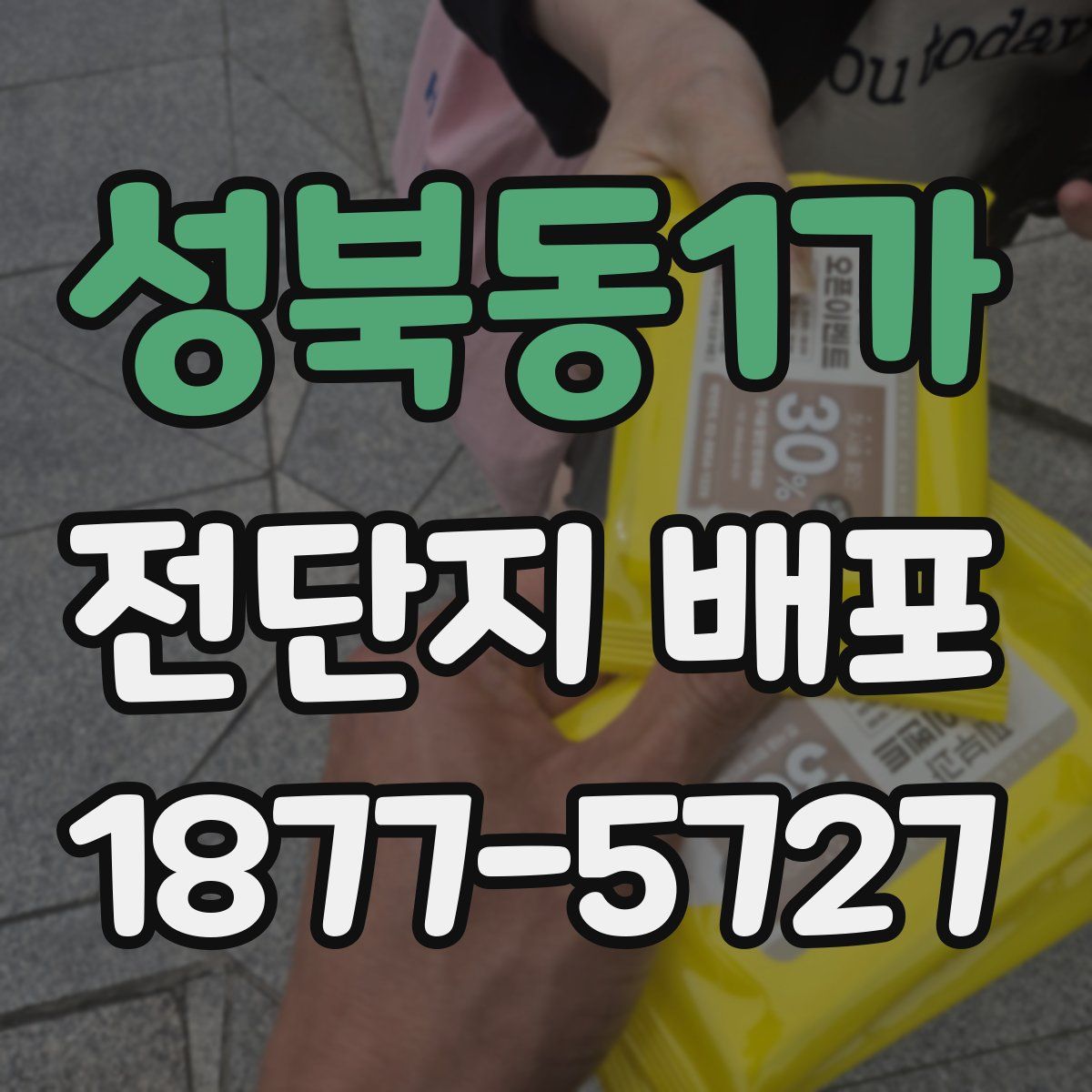 성북동1가 전단지 배포