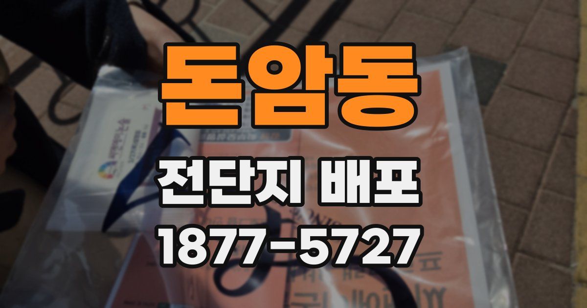 돈암동 전단지 배포