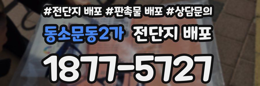 동소문동2가 전단지 배포