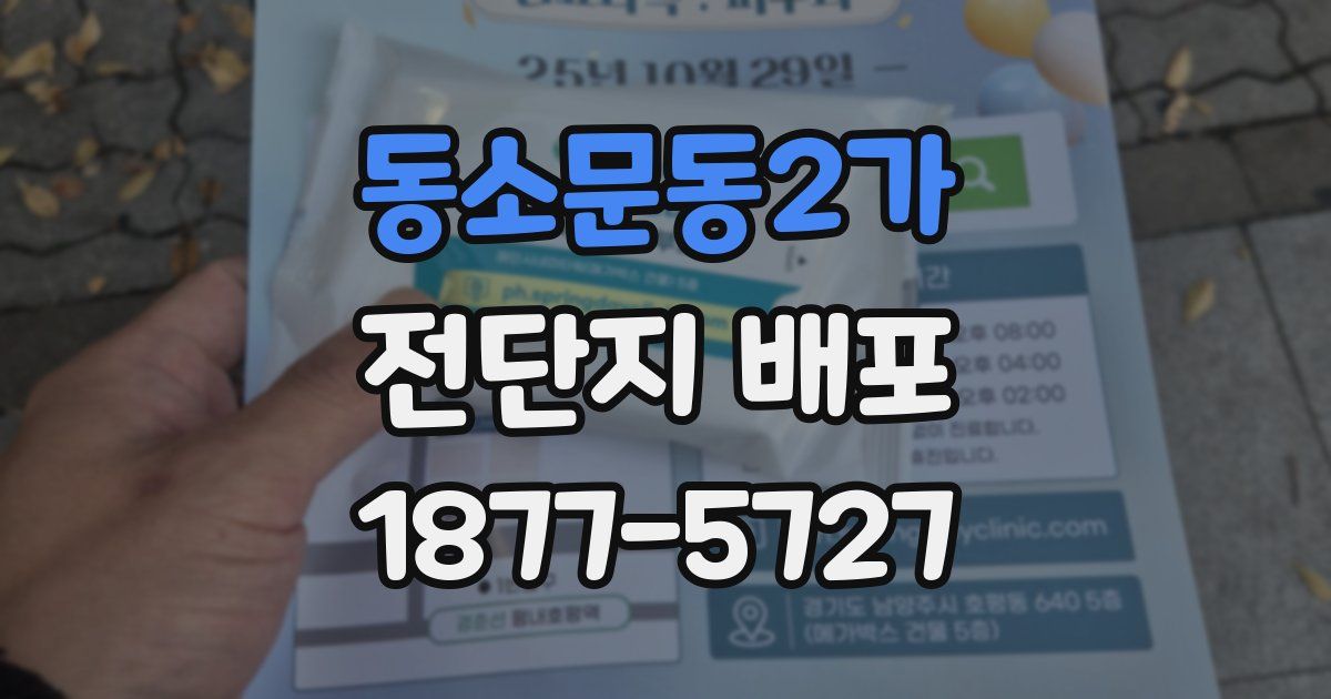 동소문동2가 전단지 배포