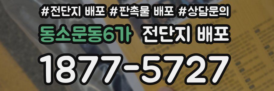 동소문동6가 전단지 배포