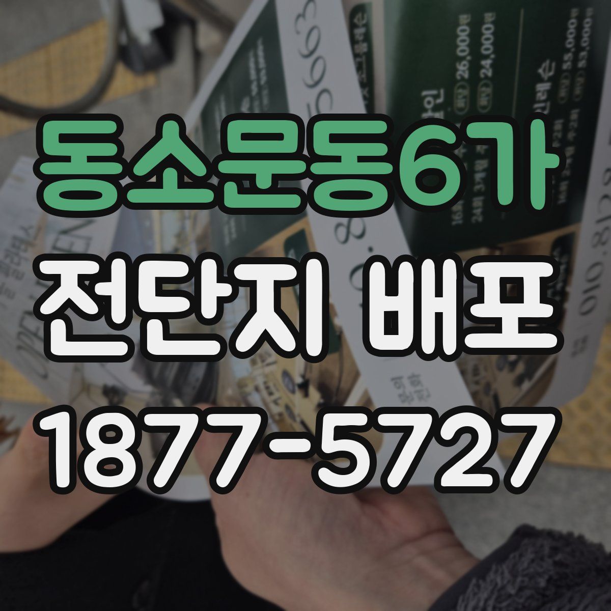 동소문동6가 전단지 배포