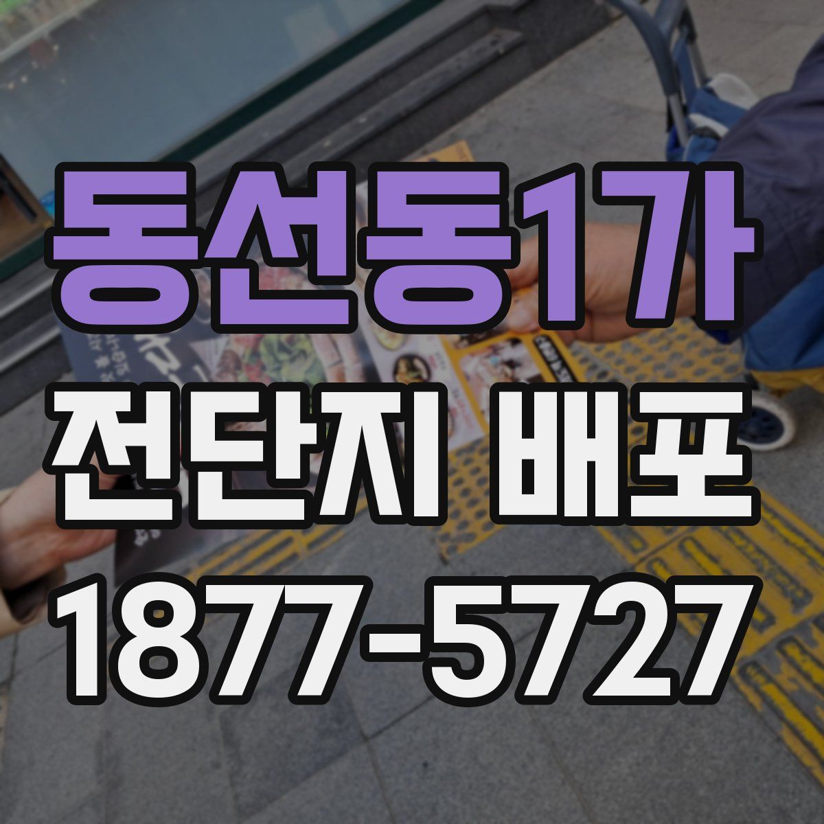 동선동1가 전단지 배포