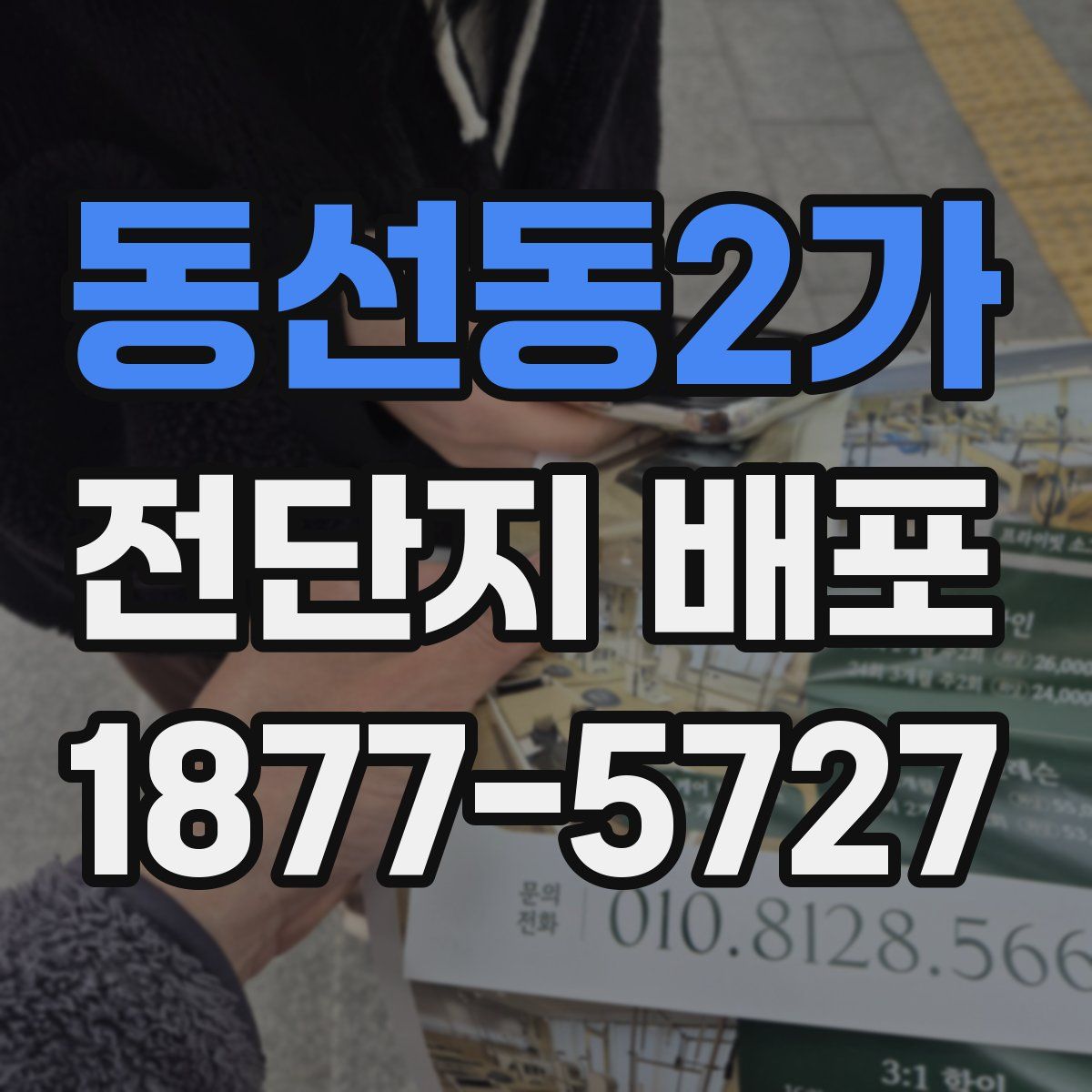 동선동2가 전단지 배포