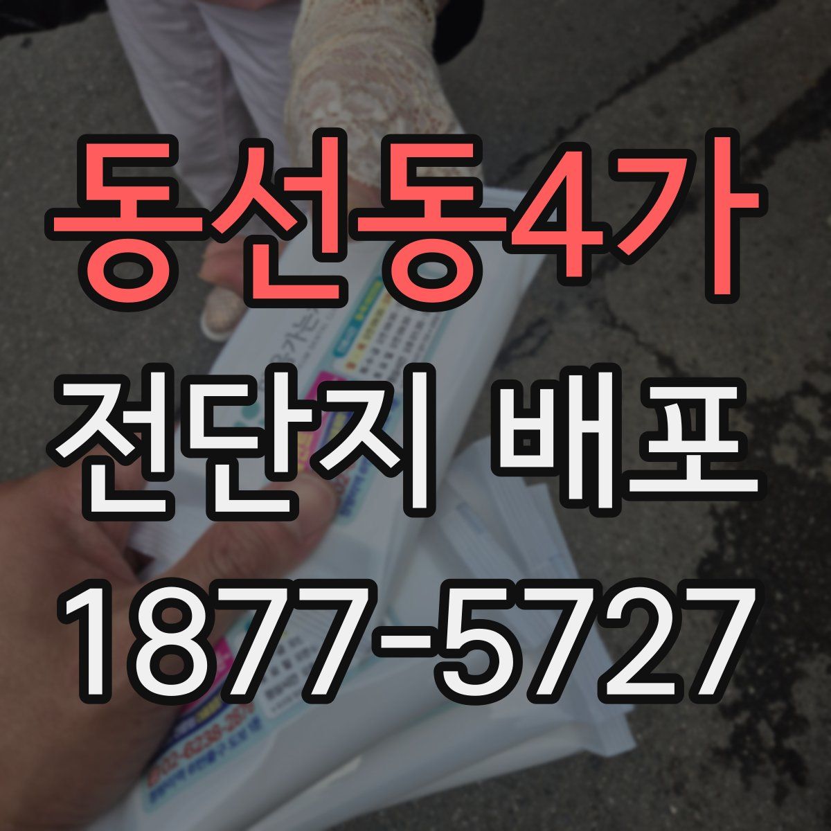 동선동4가 전단지 배포