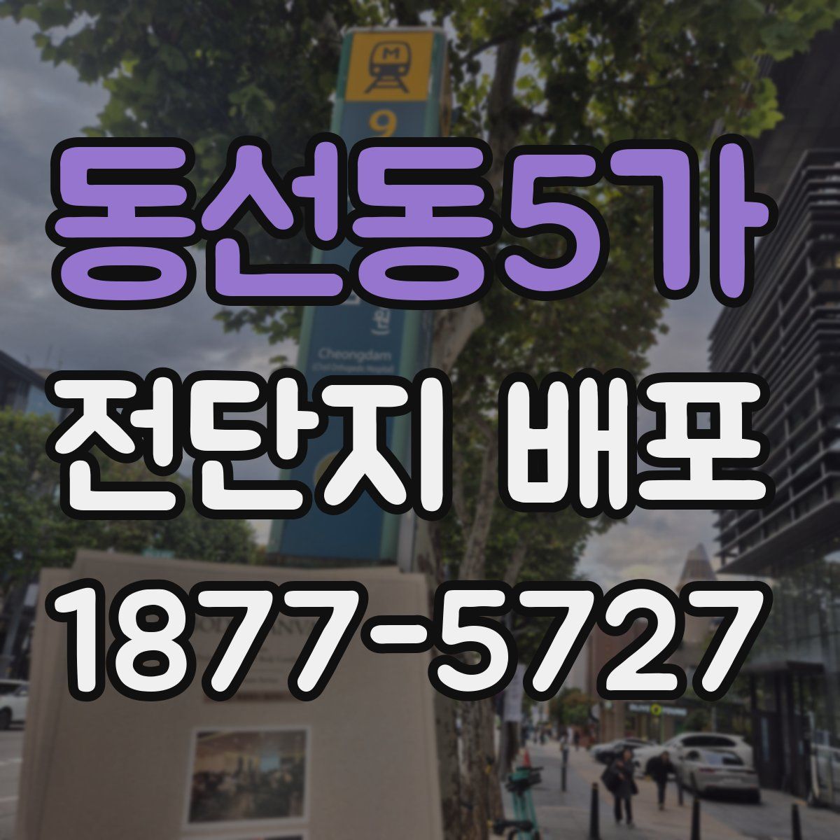 동선동5가 전단지 배포