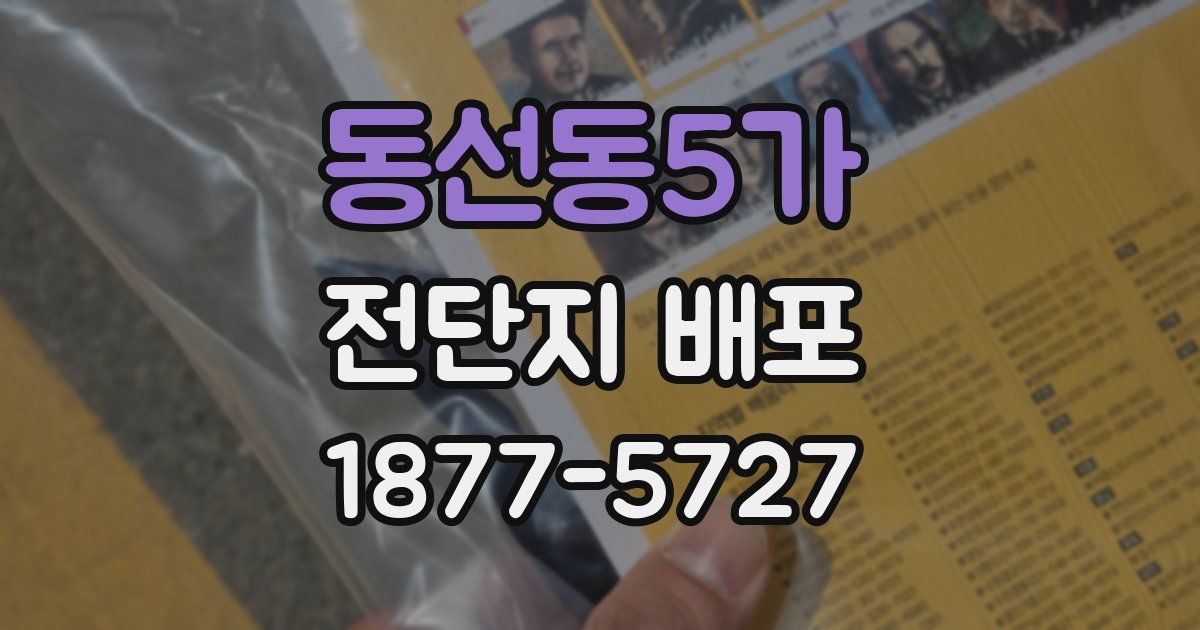 동선동5가 전단지 배포