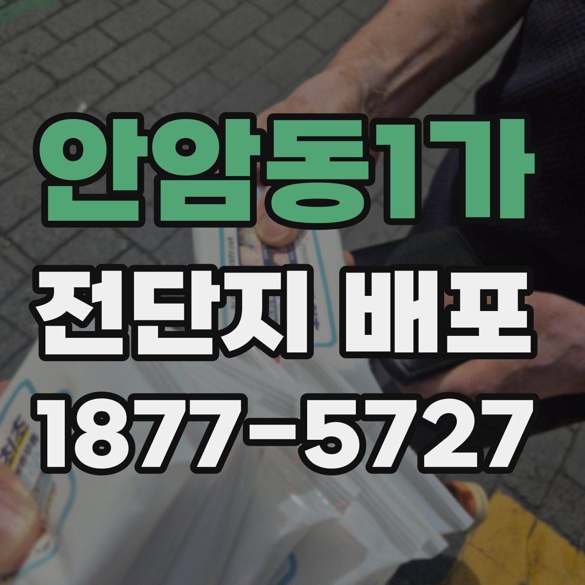 안암동1가 전단지 배포