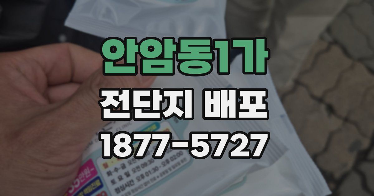 안암동1가 전단지 배포